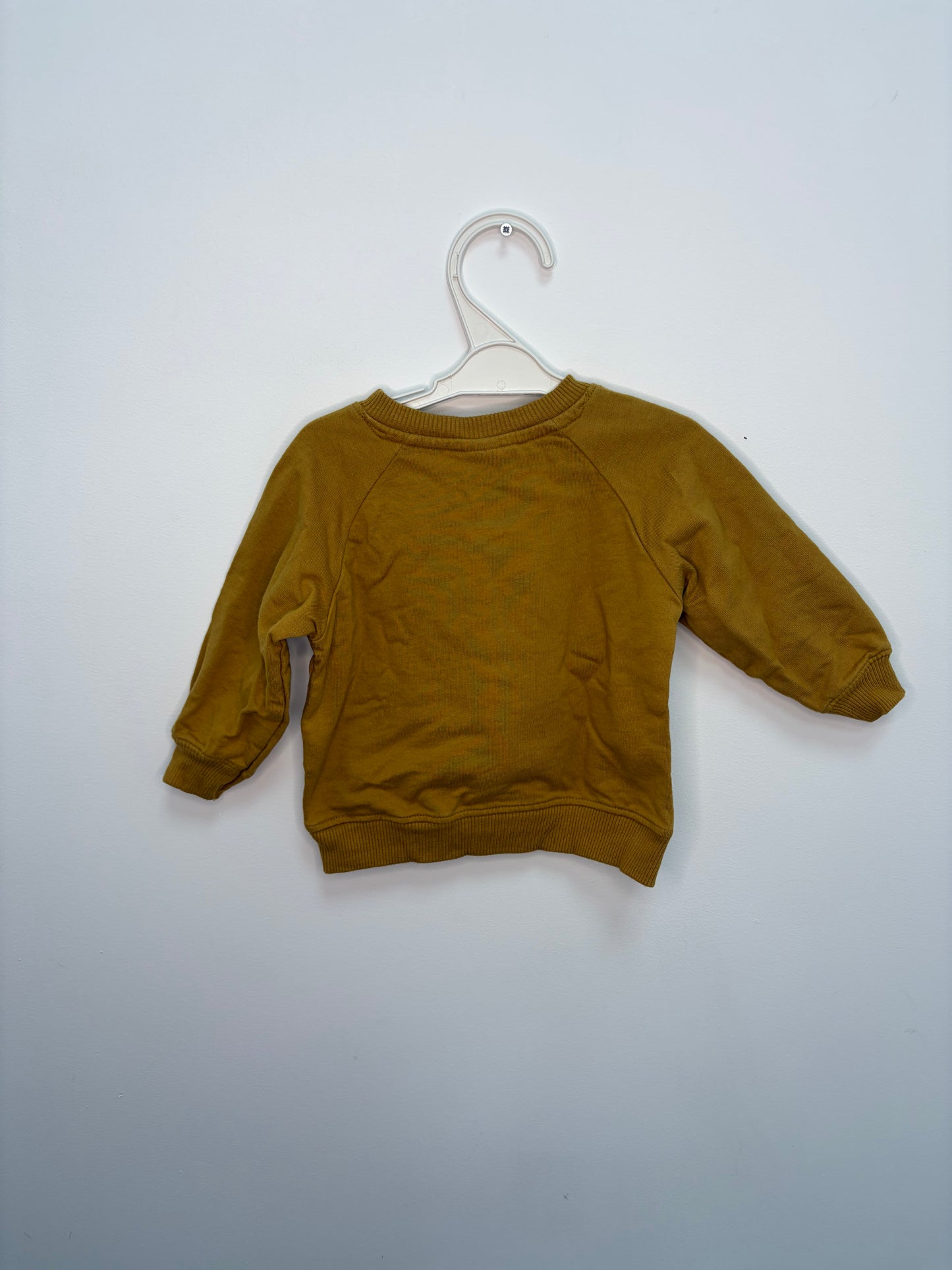 Pull Tex Baby 6 mois