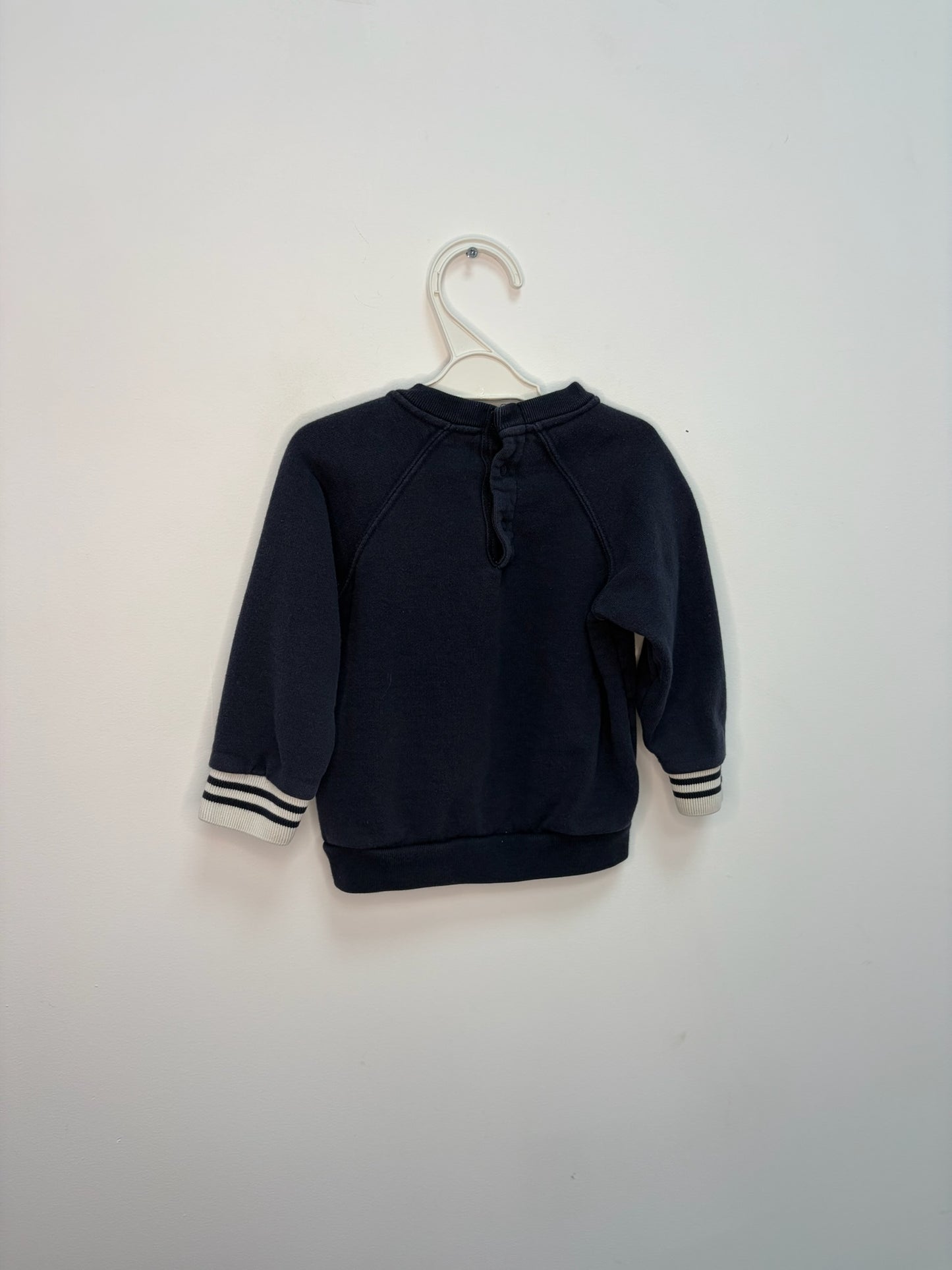 Petit pull canard