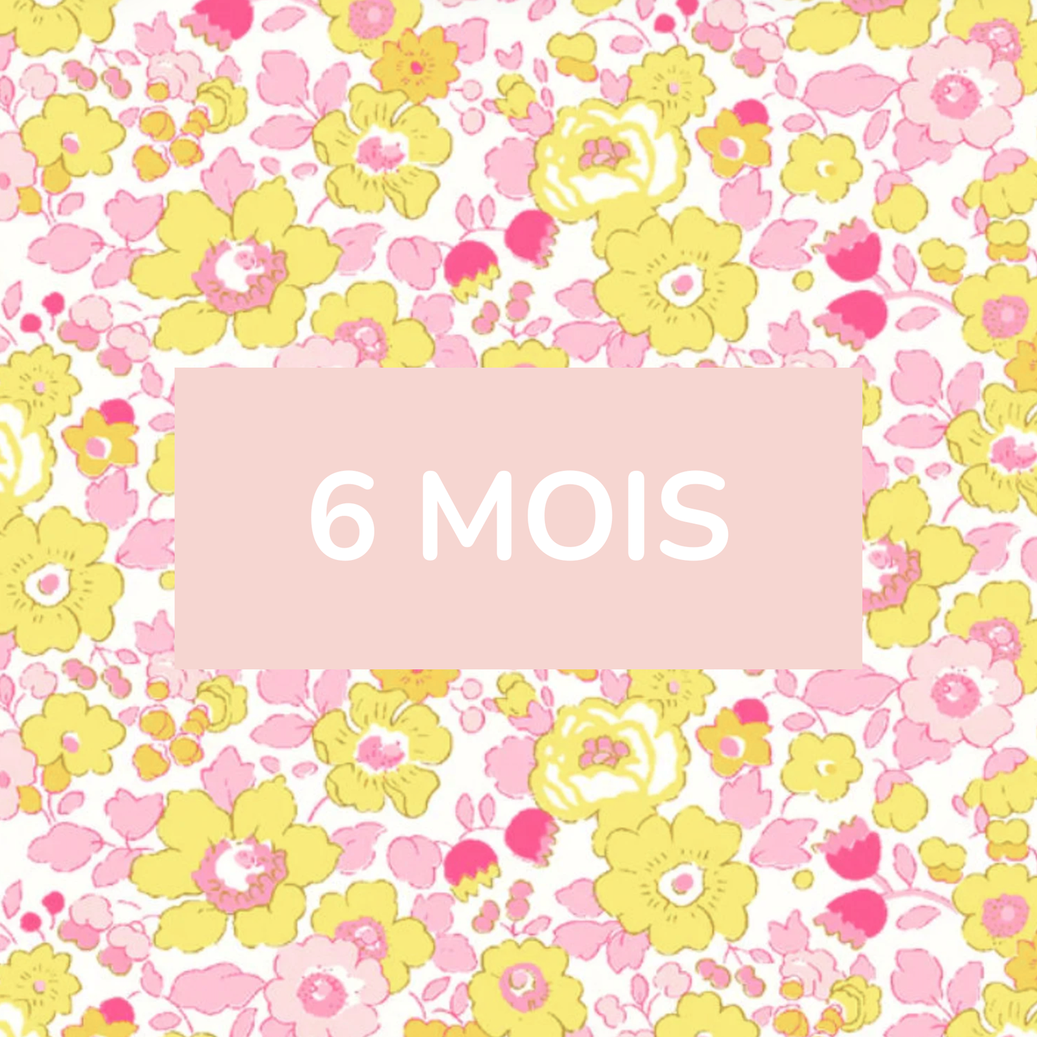 6 mois
