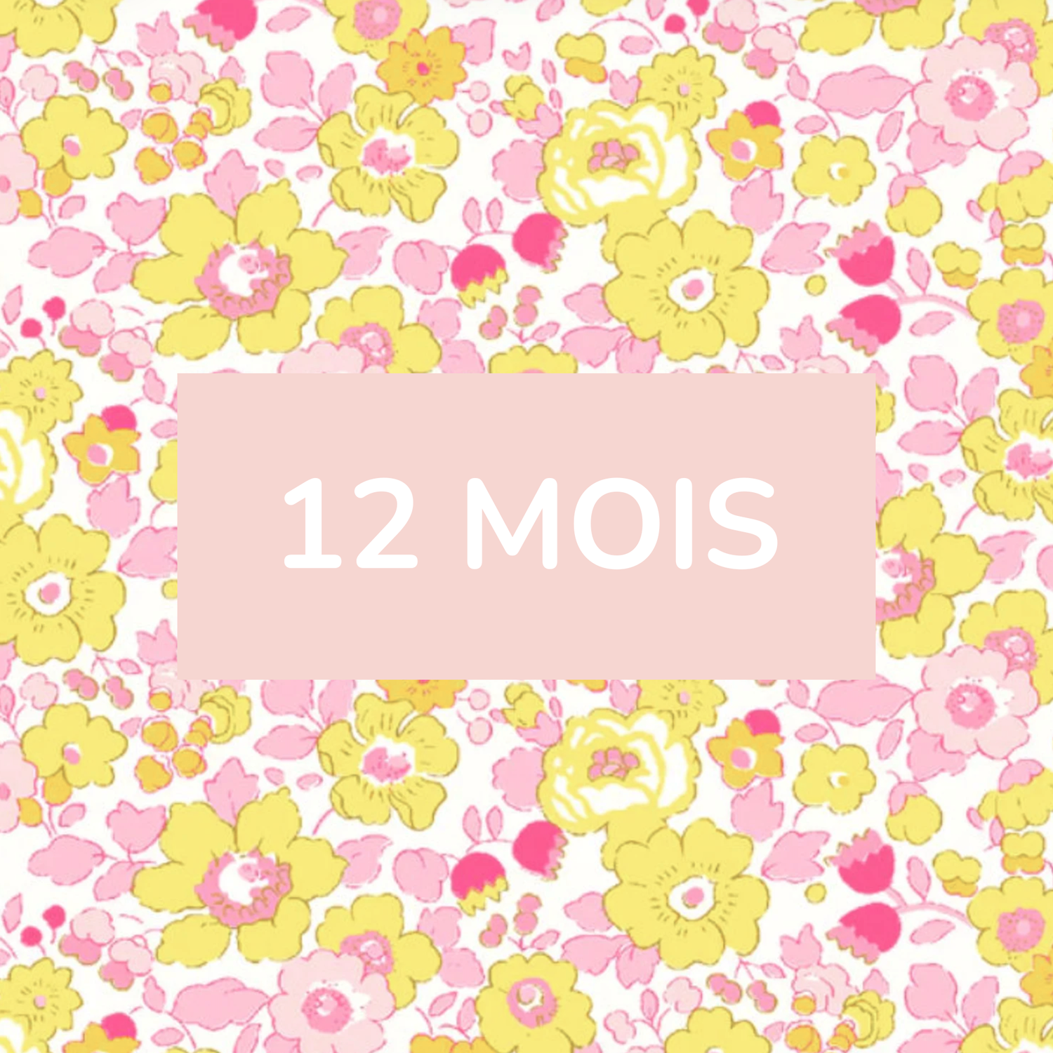 12 mois