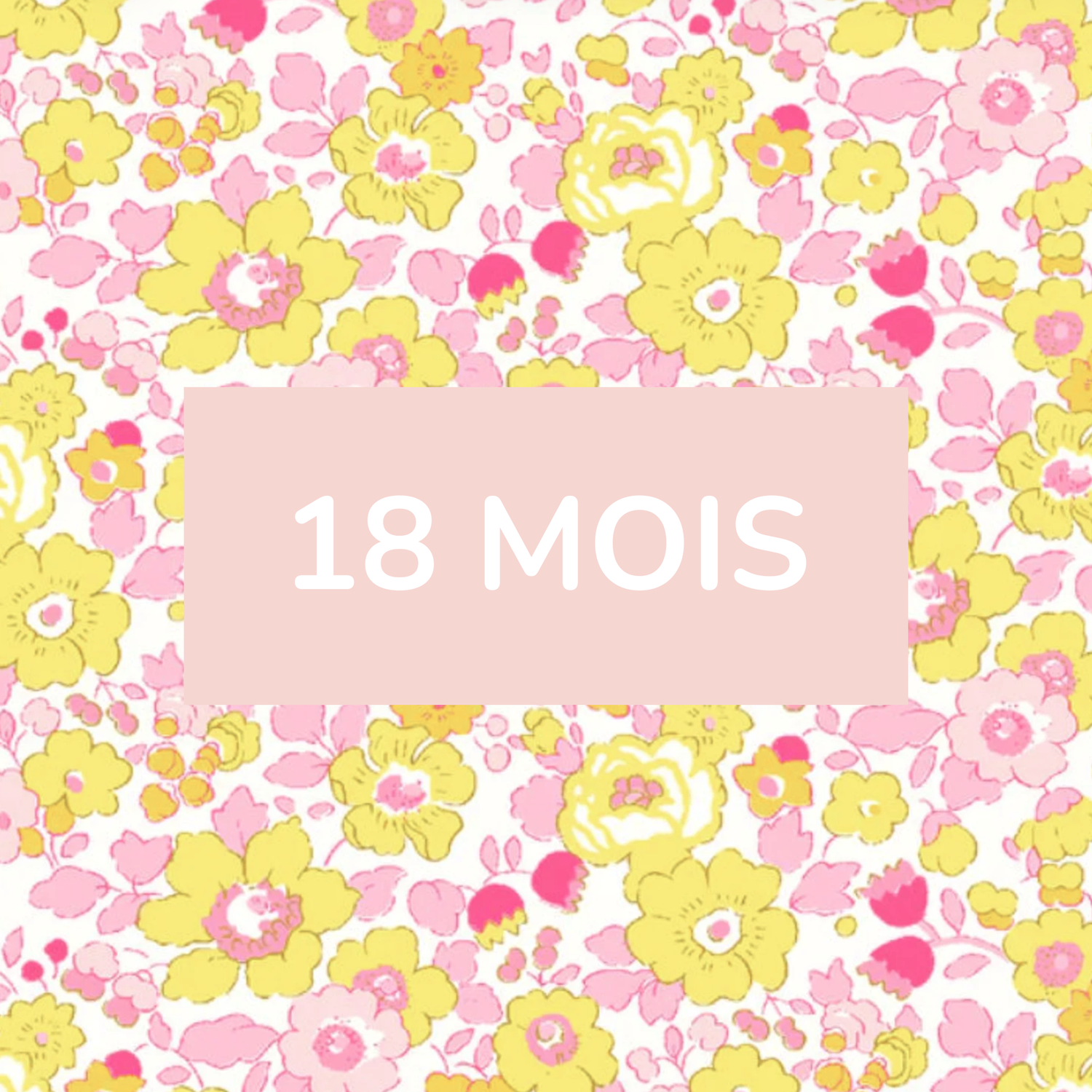 18 mois