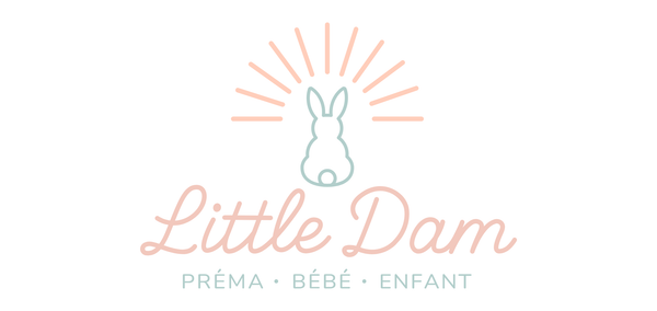 Little Dam