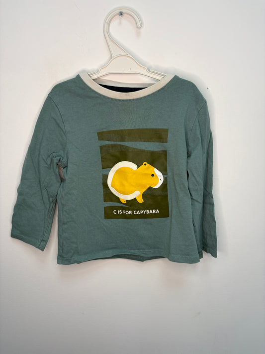 T-shirt Capybara 24 mois