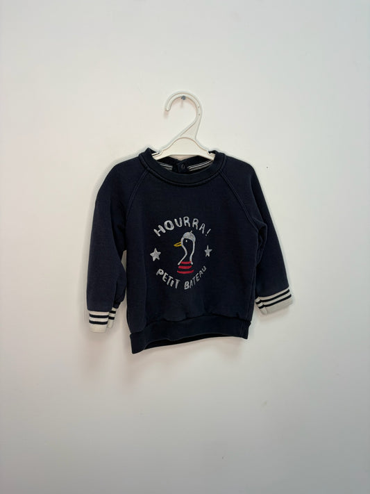 Petit pull canard